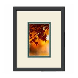 Single Regular Postcard Frame Kit